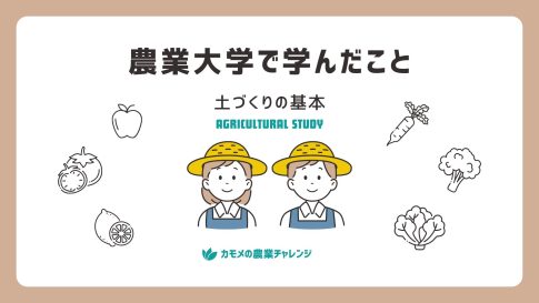 農業大学で学んだこと